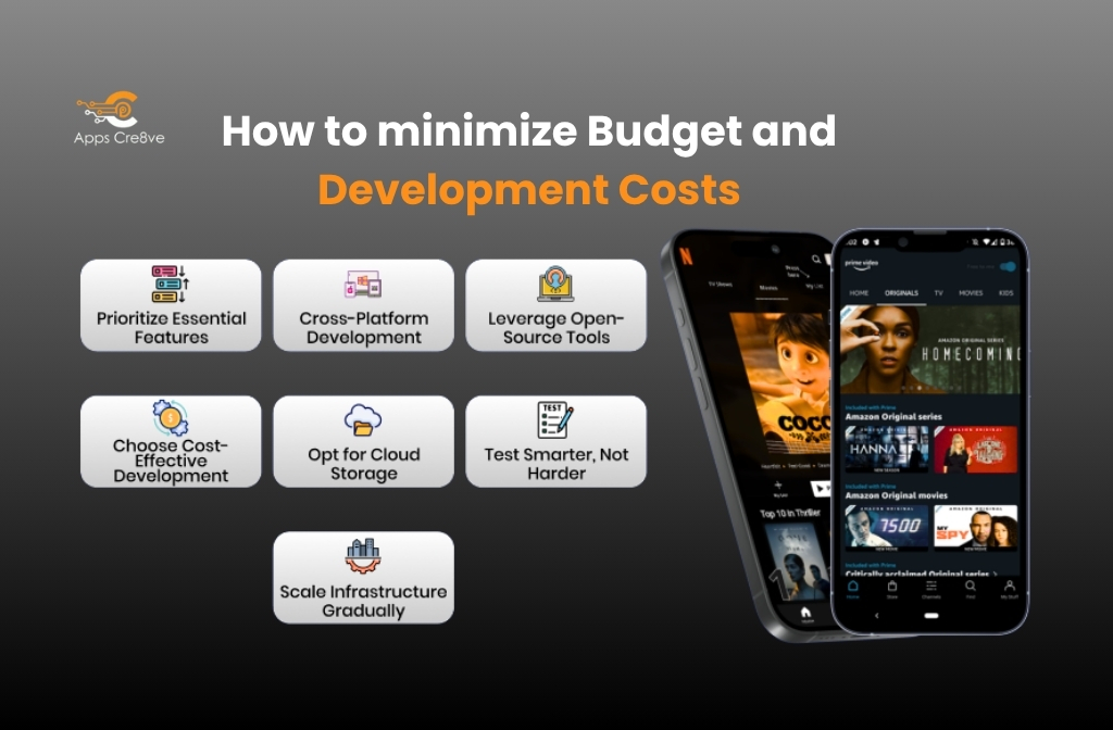 Budget and Development Costs